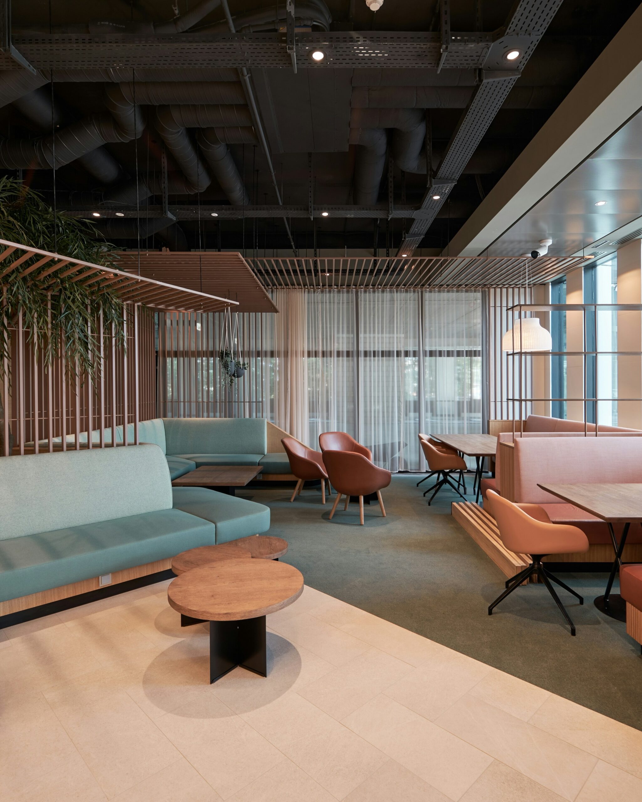 Hello World Featured Image